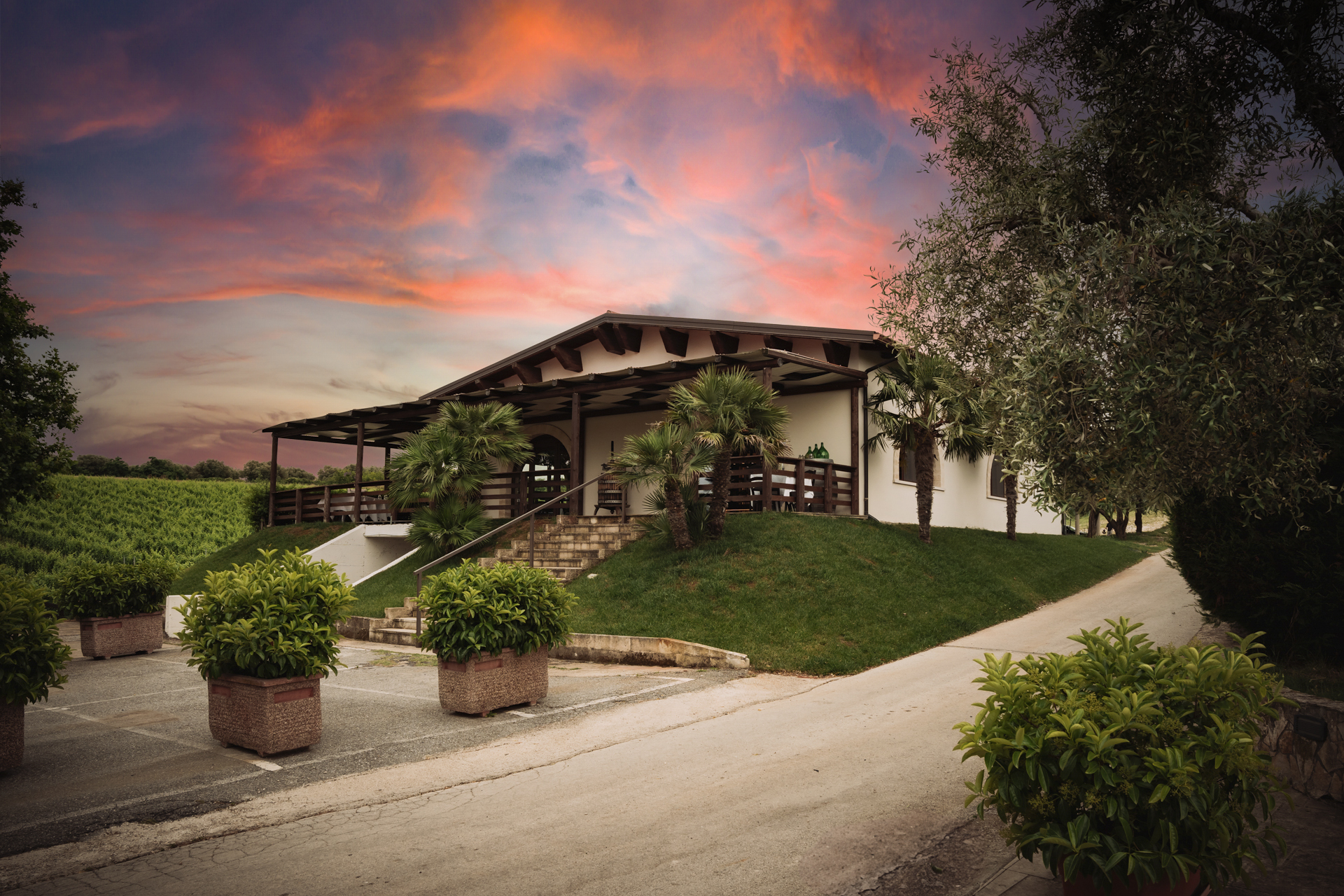 Read more about the article Wine tourism strategic opportunities for Aglianico del Vulture