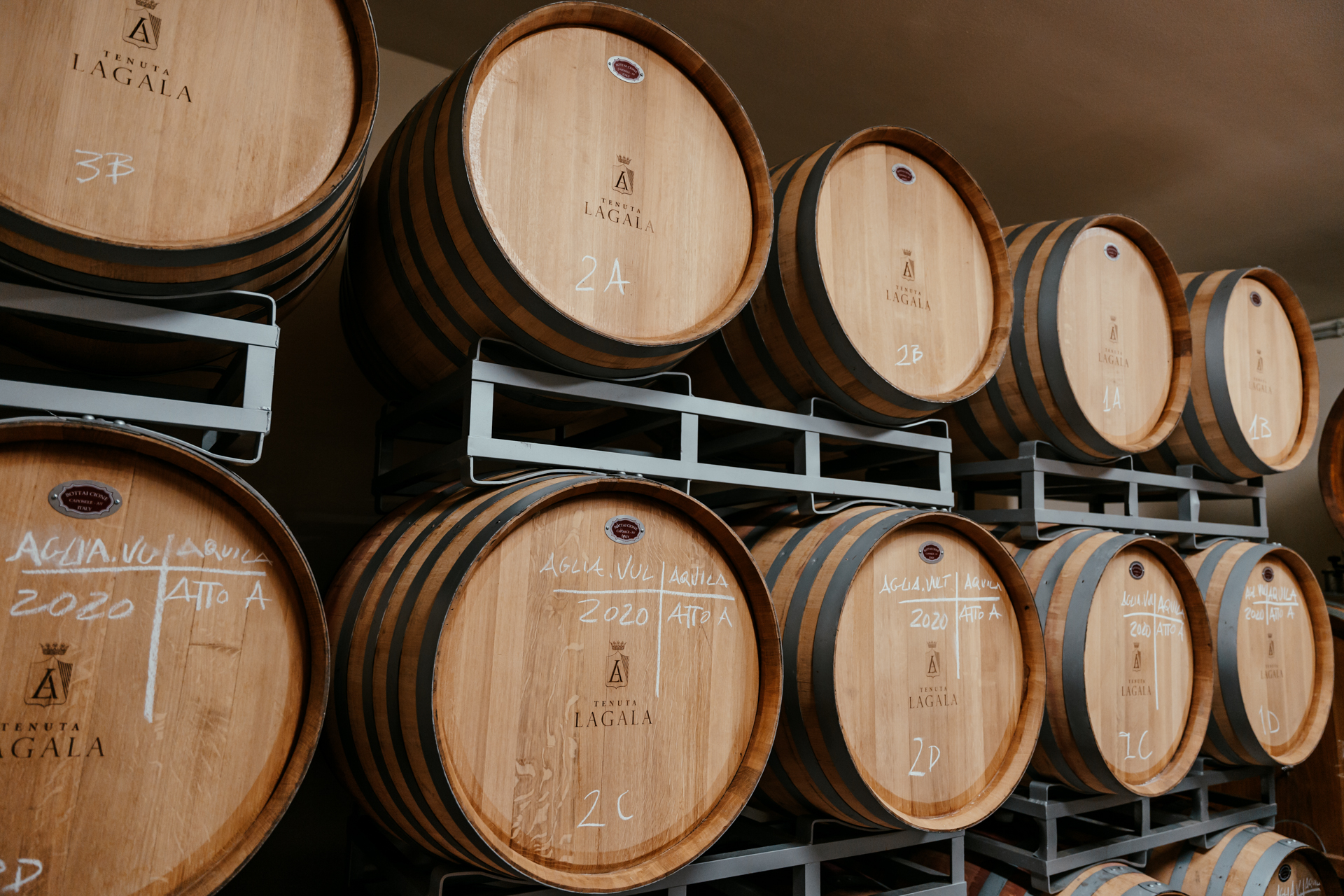 Scopri di più sull'articolo Aglianico del Vulture