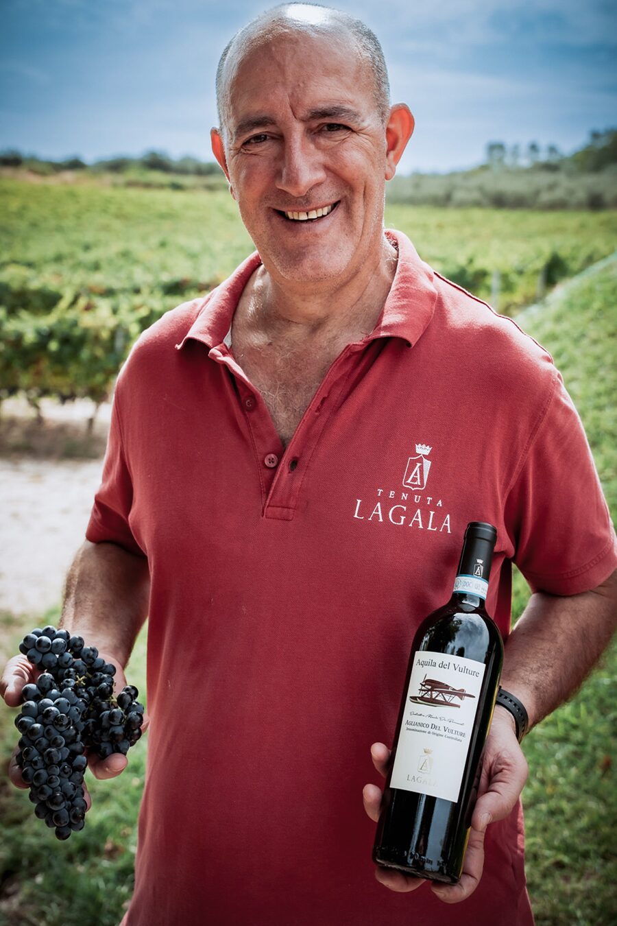 Aquila del Vulture — Tenuta Lagala, foto 3