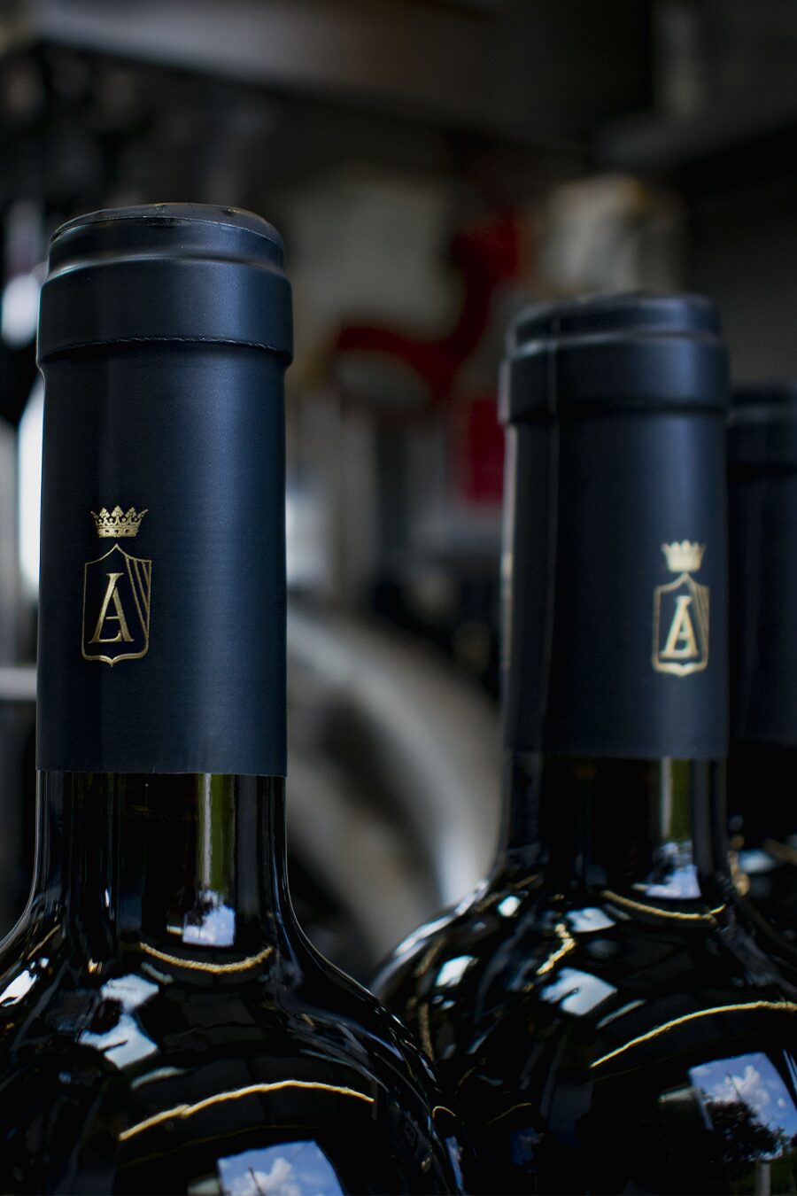 Massaròn — Tenuta Lagala, foto 3