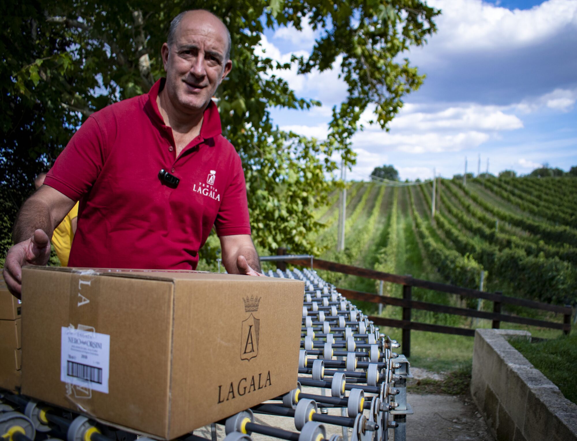 Box Degustazione — Tenuta Lagala, foto 3