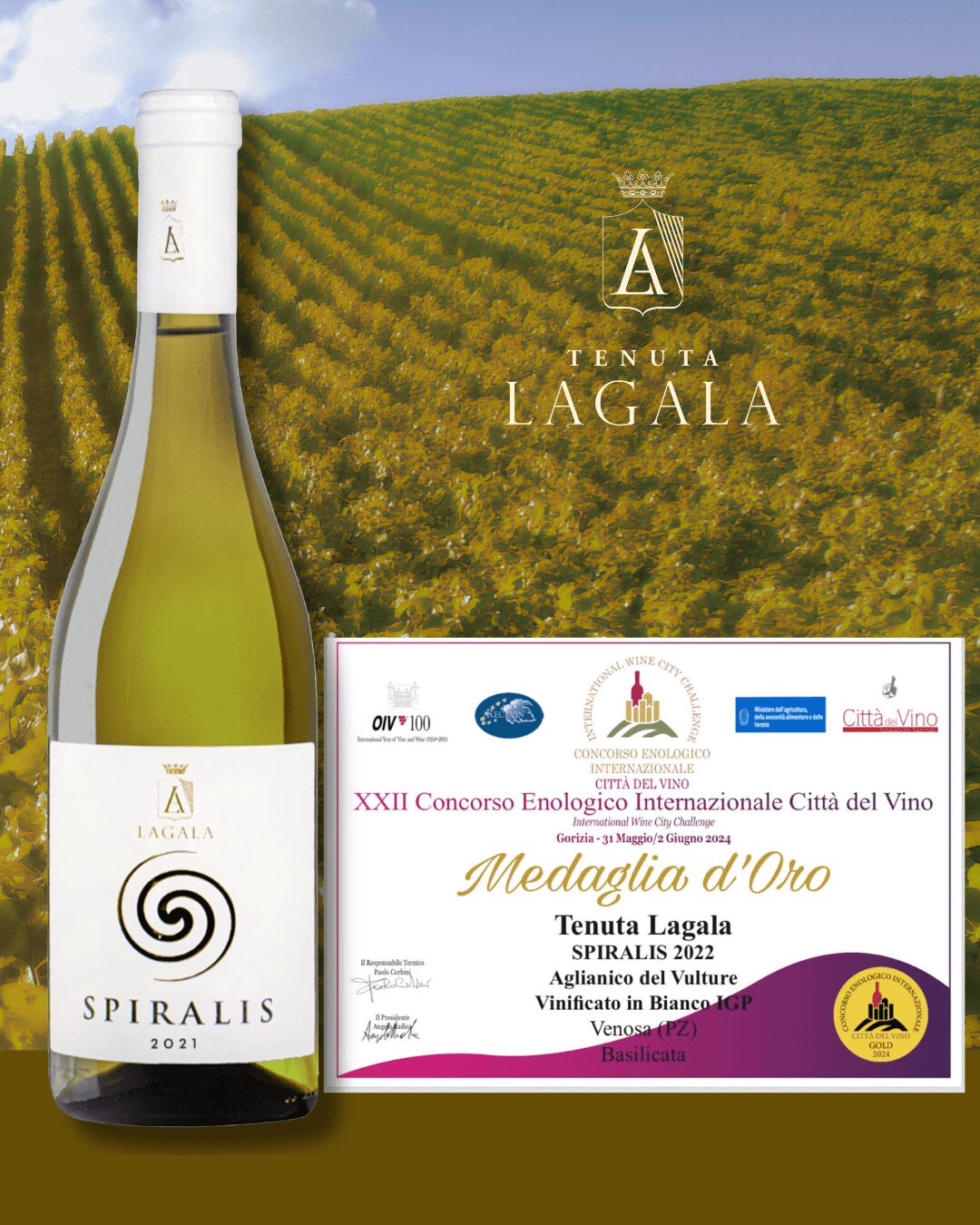spiralis medaglia d’oro